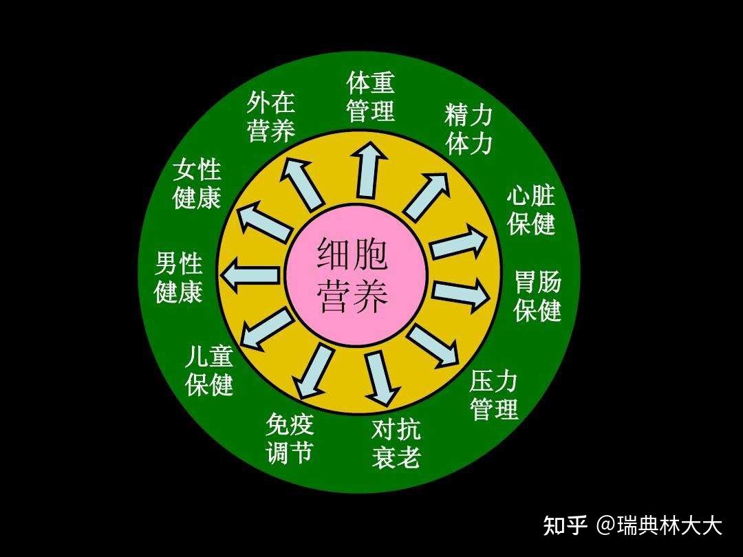 澳优亮相中乳协第三十二次年会聚焦创新发展赋能乳业新征程(图1)