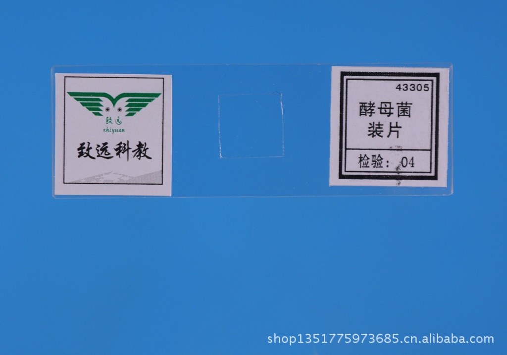 经济·科技--人民网(图1)