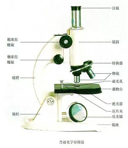 生物显微镜使用方法(图1)