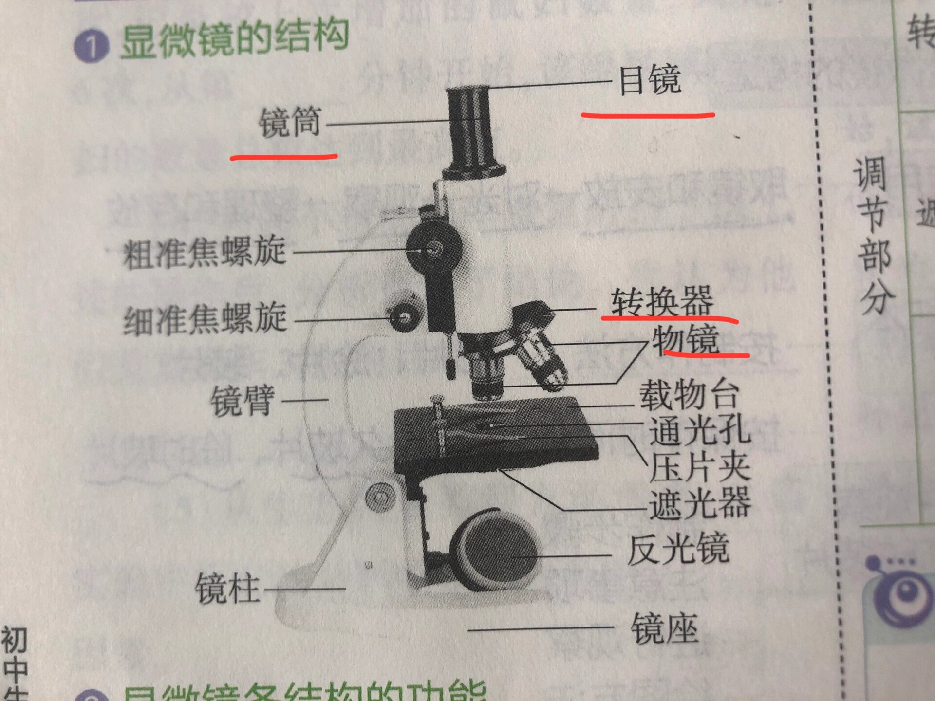 【图】林志玲做瑜伽图片曝光大家心目中公认的女神(图1)