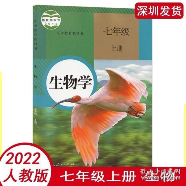 【微生物图片】细菌高清图片大全显微镜下的微生物素材(图1)