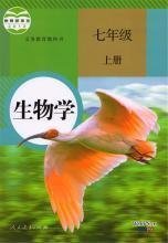活力中国调研行丨从追光到发光一家甬企的进阶之路(图1)