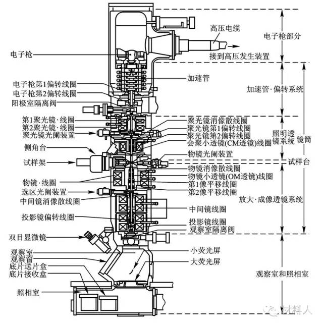 显微镜的构造与操作(图1)